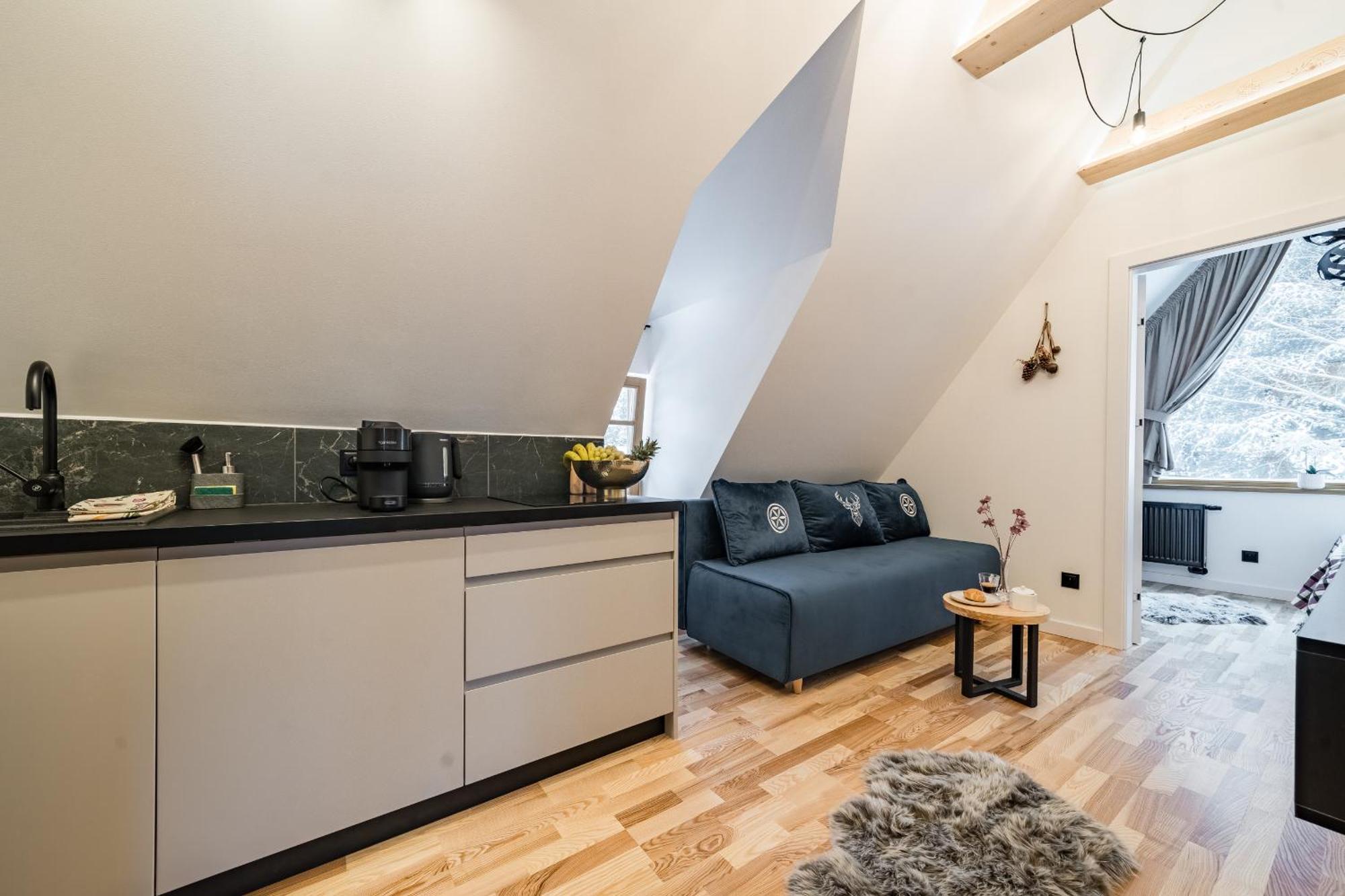 Zofiowka Apartament *